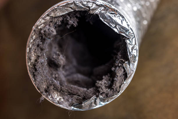 Best Air Duct Cleaning Near Me  in Hendron, KY